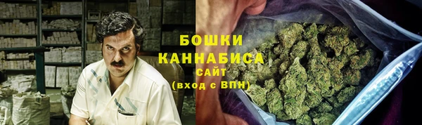 стаф Сафоново