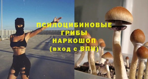 стаф Сафоново