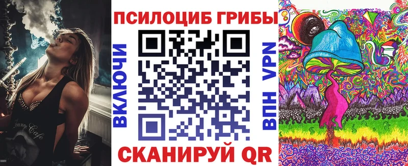 Купить  Шумиха  Галлюциногенные грибы Psilocybine cubensis 